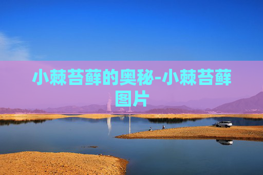 小棘苔藓的奥秘-小棘苔藓图片