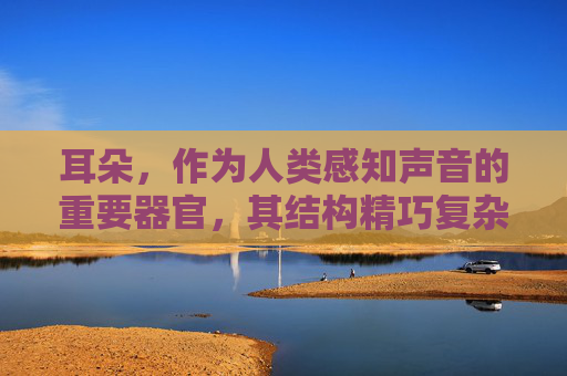 耳朵，作为人类感知声音的重要器官，其结构精巧复杂，是生物学和解剖学研究的重要内容。耳朵由外耳、中耳和内耳三个部分组成，它们协同工作，将声波转化为神经信号，最终传递到大脑。-耳的结构示意图