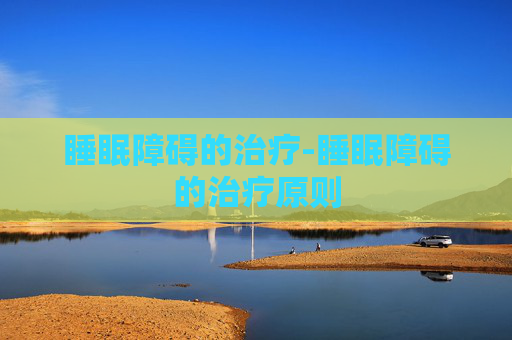 睡眠障碍的治疗-睡眠障碍的治疗原则