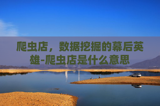 爬虫店，数据挖掘的幕后英雄-爬虫店是什么意思