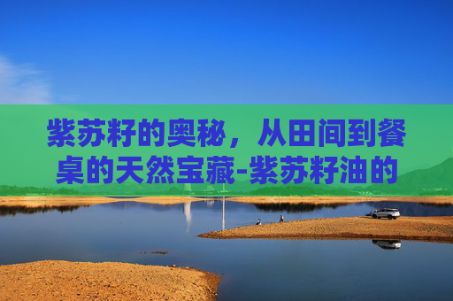 紫苏籽的奥秘，从田间到餐桌的天然宝藏-紫苏籽油的功效作用与主治与用量
