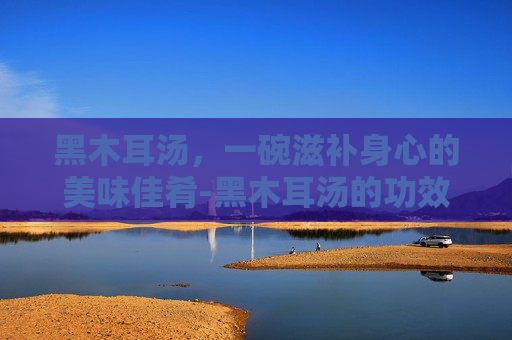黑木耳汤，一碗滋补身心的美味佳肴-黑木耳汤的功效