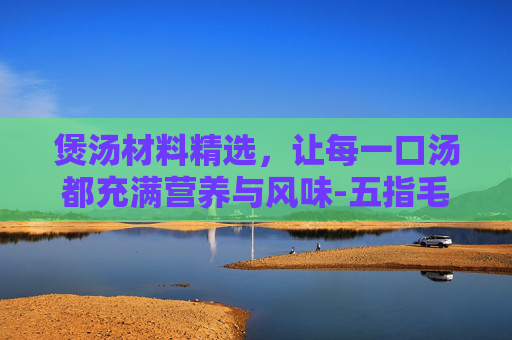 煲汤材料精选，让每一口汤都充满营养与风味-五指毛头煲汤材料