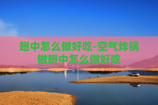 翅中怎么做好吃-空气炸锅做翅中怎么做好吃