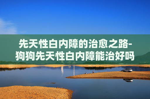 先天性白内障的治愈之路-狗狗先天性白内障能治好吗