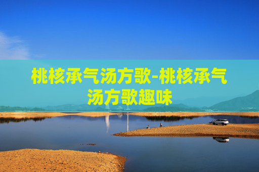 桃核承气汤方歌-桃核承气汤方歌趣味