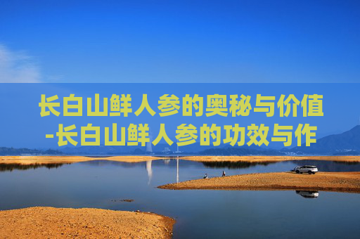 长白山鲜人参的奥秘与价值-长白山鲜人参的功效与作用