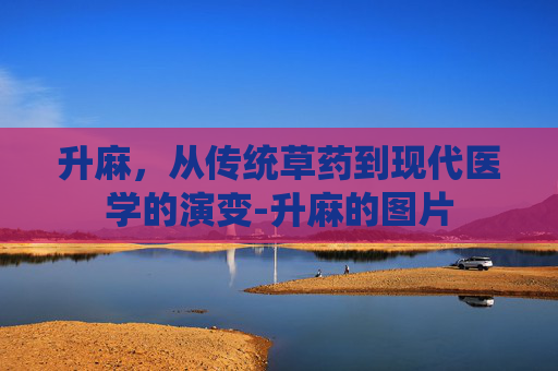 升麻，从传统草药到现代医学的演变-升麻的图片