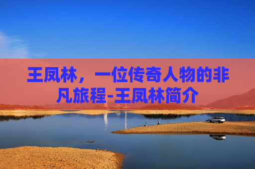王凤林，一位传奇人物的非凡旅程-王凤林简介
