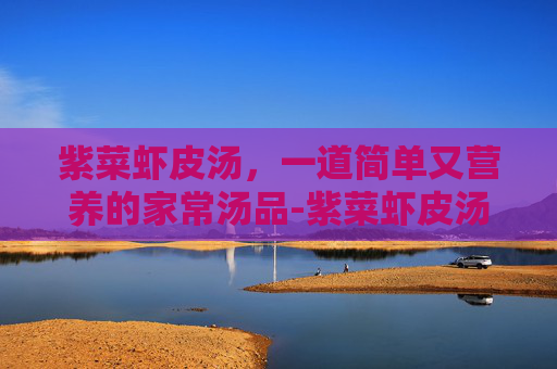 紫菜虾皮汤，一道简单又营养的家常汤品-紫菜虾皮汤的做法