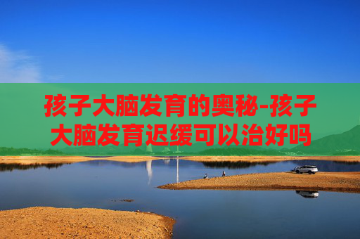 孩子大脑发育的奥秘-孩子大脑发育迟缓可以治好吗