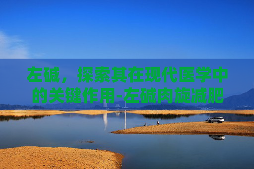 左碱，探索其在现代医学中的关键作用-左碱肉旋减肥药对身体有害吗