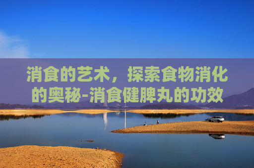 消食的艺术，探索食物消化的奥秘-消食健脾丸的功效与作用