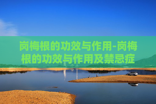 岗梅根的功效与作用-岗梅根的功效与作用及禁忌症