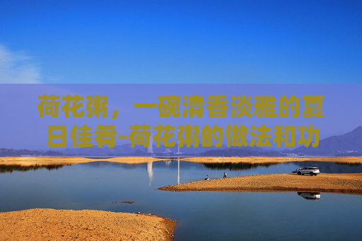 荷花粥，一碗清香淡雅的夏日佳肴-荷花粥的做法和功效