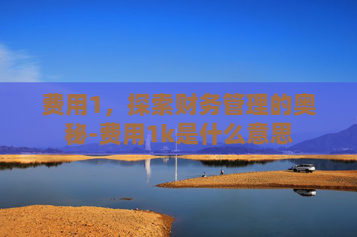 费用1，探索财务管理的奥秘-费用1k是什么意思