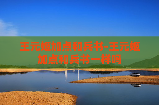 王元姬加点和兵书-王元姬加点和兵书一样吗