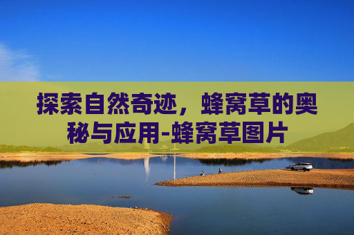 探索自然奇迹，蜂窝草的奥秘与应用-蜂窝草图片