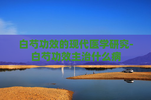 白芍功效的现代医学研究-白芍功效主治什么病