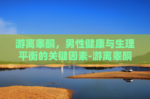 游离睾酮，男性健康与生理平衡的关键因素-游离睾酮查什么