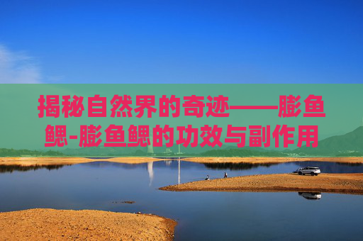 揭秘自然界的奇迹——膨鱼鳃-膨鱼鳃的功效与副作用