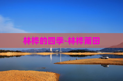 林桦的四季-林桦莆田