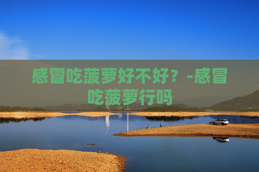 感冒吃菠萝好不好？-感冒吃菠萝行吗