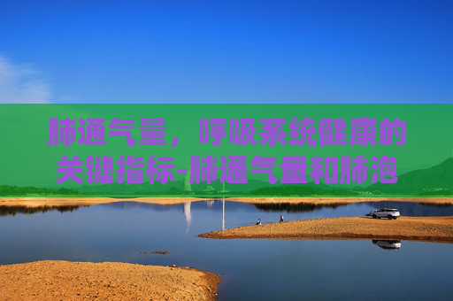 肺通气量，呼吸系统健康的关键指标-肺通气量和肺泡通气量有什么区别