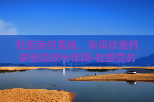 牡蛎壳的奥秘，海洋珍宝的多重功效与作用-牡蛎壳的功效与作用与主治与用量
