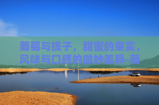 葡萄与提子，甜蜜的果实，风味与口感的微妙差异-葡萄和提子的区别营养功效