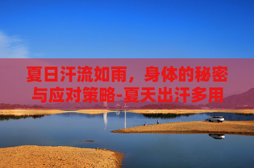 夏日汗流如雨，身体的秘密与应对策略-夏天出汗多用什么泡水喝好