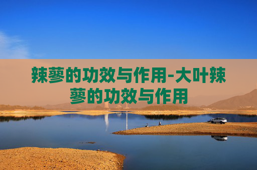 辣蓼的功效与作用-大叶辣蓼的功效与作用