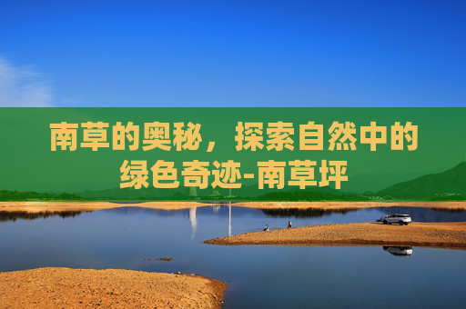 南草的奥秘，探索自然中的绿色奇迹-南草坪