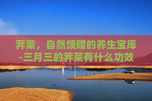 荠菜，自然馈赠的养生宝库-三月三的荠菜有什么功效