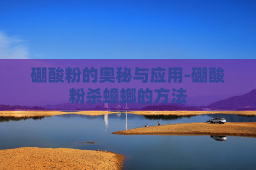 硼酸粉的奥秘与应用-硼酸粉杀蟑螂的方法