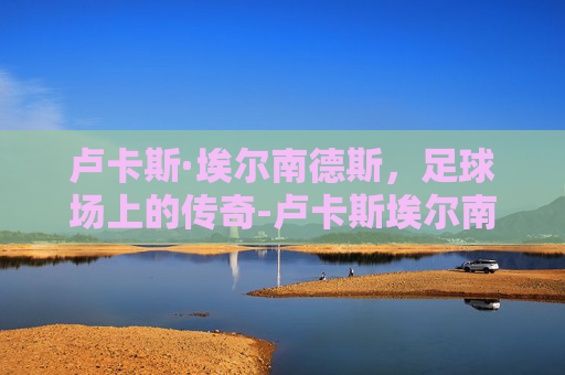 卢卡斯·埃尔南德斯，足球场上的传奇-卢卡斯埃尔南德斯 特奥埃尔南德斯