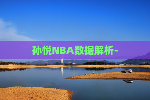孙悦NBA数据解析-