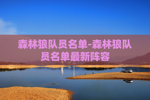 森林狼队员名单-森林狼队员名单最新阵容