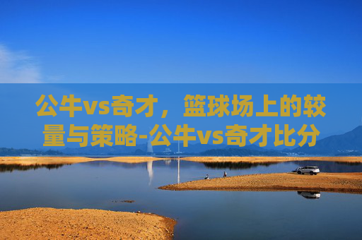 公牛vs奇才，篮球场上的较量与策略-公牛vs奇才比分预测