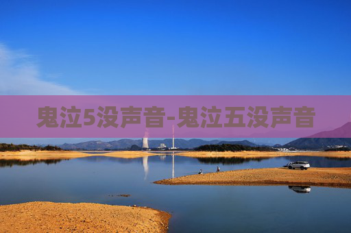 鬼泣5没声音-鬼泣五没声音