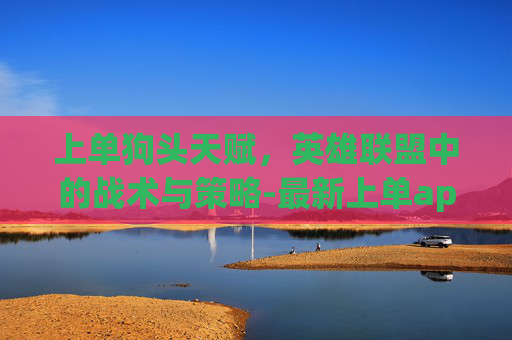 上单狗头天赋，英雄联盟中的战术与策略-最新上单ap狗头天赋