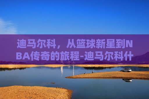 迪马尔科，从篮球新星到NBA传奇的旅程-迪马尔科什么水平