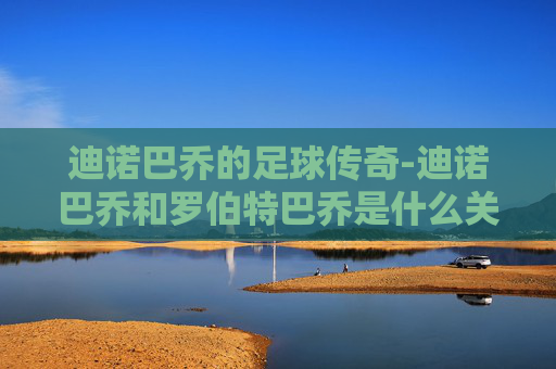 迪诺巴乔的足球传奇-迪诺巴乔和罗伯特巴乔是什么关系