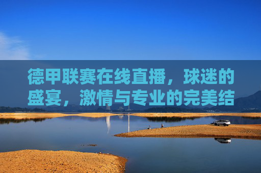 德甲联赛在线直播，球迷的盛宴，激情与专业的完美结合-德甲官方直播
