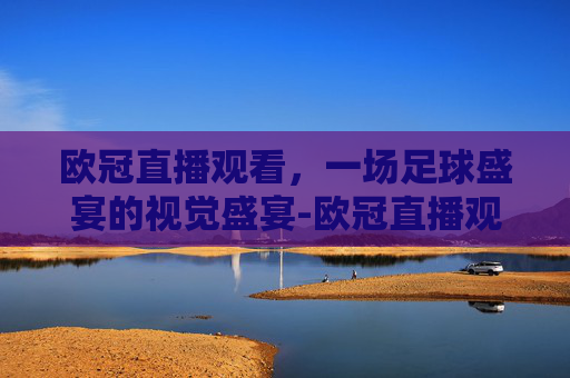 欧冠直播观看，一场足球盛宴的视觉盛宴-欧冠直播观看网站