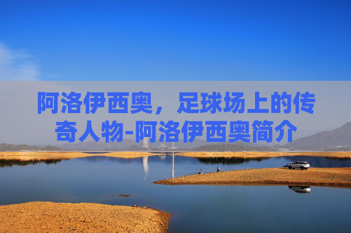 阿洛伊西奥，足球场上的传奇人物-阿洛伊西奥简介