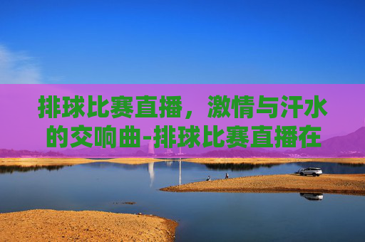 排球比赛直播，激情与汗水的交响曲-排球比赛直播在线观看2026