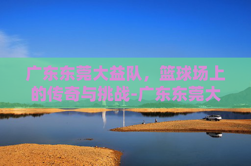 广东东莞大益队，篮球场上的传奇与挑战-广东东莞大益队球员名单