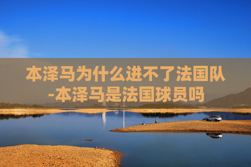 本泽马为什么进不了法国队-本泽马是法国球员吗