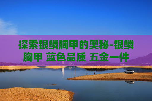 探索银鳞胸甲的奥秘-银鳞胸甲 蓝色品质 五金一件